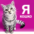 ВикторFrey